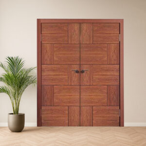 Customized modern entrance doors
