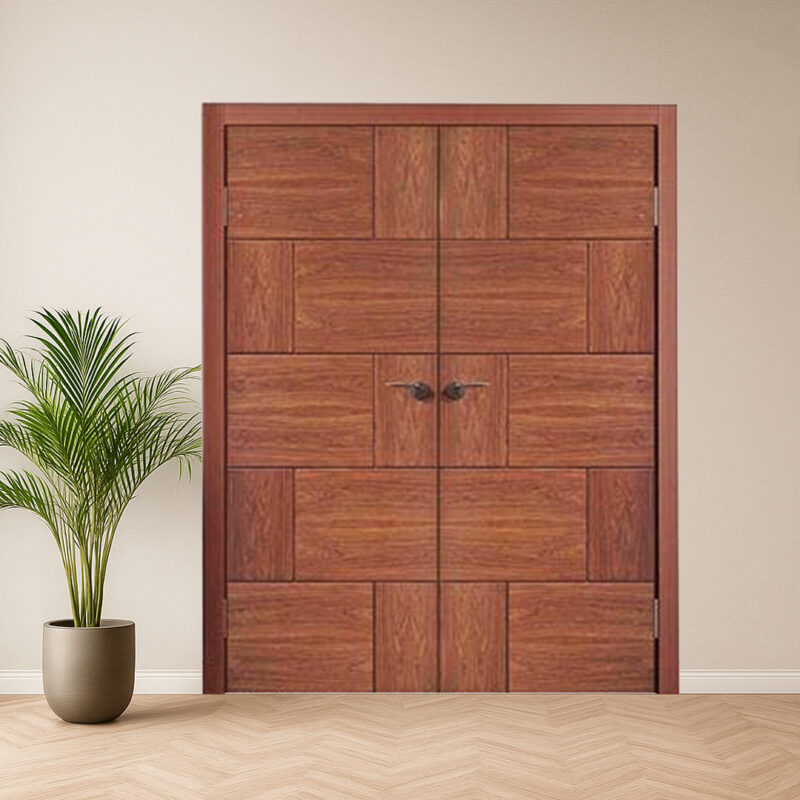 Customized modern entrance doors