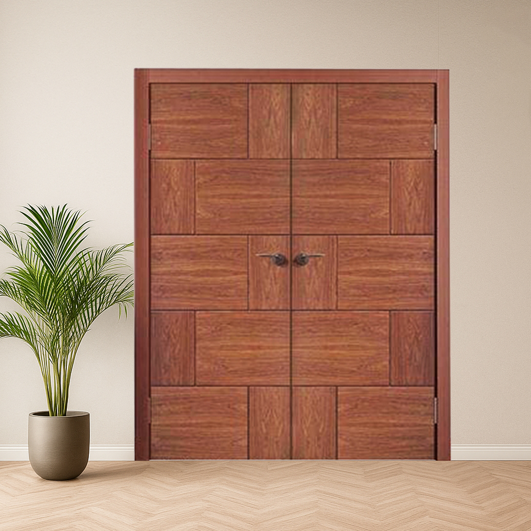 Customized modern entrance doors