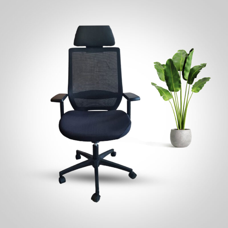 Executive Office chair